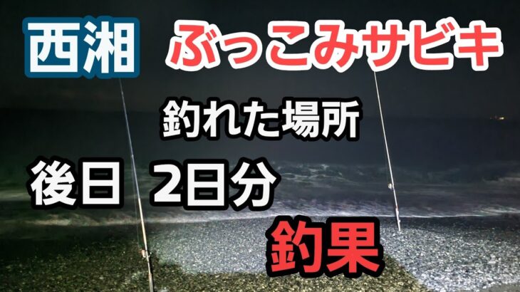 【西湘サーフ】ぶっこみサビキ 釣れた場所、同じ方法 で2日やった結果　2023年1月下旬 小潮、長潮 釣果