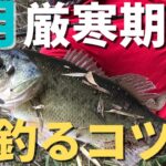 【バス釣り】2月攻略のコツを徹底解説。大寒波でバスが釣れなくなった、釣り方がわからない。真冬に簡単に釣るコツ、難しい時の釣り方を解説してみた【冬のバス釣り】【2・3月バス釣り】