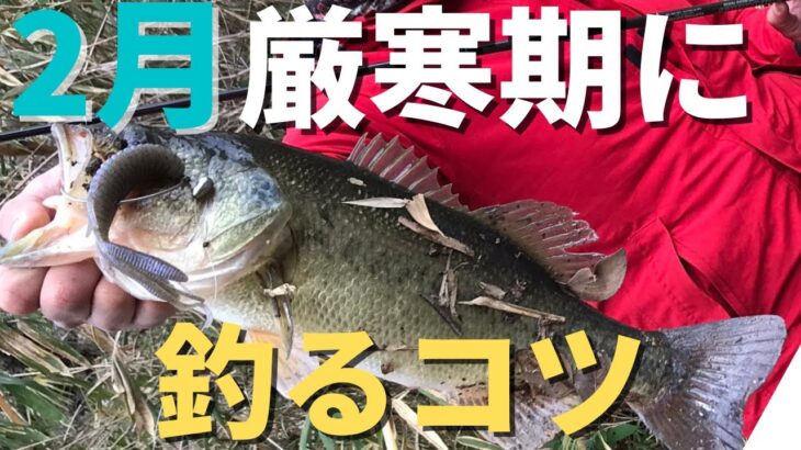 【バス釣り】2月攻略のコツを徹底解説。大寒波でバスが釣れなくなった、釣り方がわからない。真冬に簡単に釣るコツ、難しい時の釣り方を解説してみた【冬のバス釣り】【2・3月バス釣り】