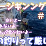 釣りのある暮らし　スロージギング日記＃25〜これが冬の釣り現実〜