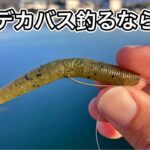 【バス釣り】冬のデカバスはファットヤマセンコー3インチで簡単に釣れる！ミスが無ければ・・😇