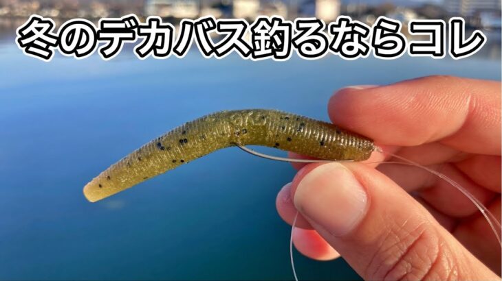 【バス釣り】冬のデカバスはファットヤマセンコー3インチで簡単に釣れる！ミスが無ければ・・😇