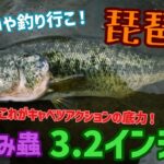 冬でもバス釣りやで！真冬の琵琶湖バス釣りは沈み蟲3.2が強い！？釣れなさそうなカラーやのに釣れるカラームラカミスペシャル！沈み蟲久しぶり！キャベツアクションで冬バスを誘う【琵琶湖バス釣り】