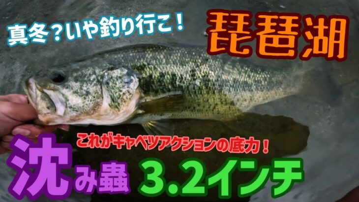 冬でもバス釣りやで！真冬の琵琶湖バス釣りは沈み蟲3.2が強い！？釣れなさそうなカラーやのに釣れるカラームラカミスペシャル！沈み蟲久しぶり！キャベツアクションで冬バスを誘う【琵琶湖バス釣り】