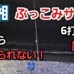 【西湘サーフ】ぶっこみサビキ 3箇所のポイントでやった結果　2023年2月上旬 中潮  釣果