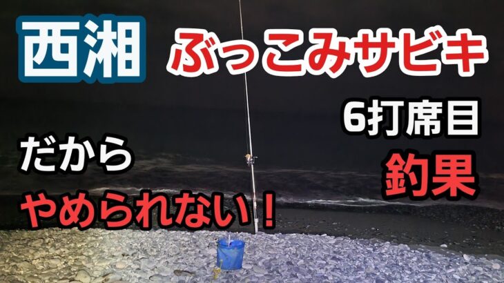 【西湘サーフ】ぶっこみサビキ 3箇所のポイントでやった結果　2023年2月上旬 中潮  釣果