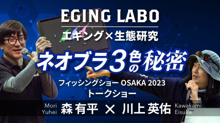 【エギングラボ特別編】実演で証明される、ネオンブライト3色の光の秘密とエギ王Kの安定フォールとアオリイカの摂餌行動の関係性を徹底解剖！