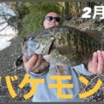 【埼玉バス釣りポイント】古利根川でモンスタースモール！49センチ！3キロ？【スモールマウスバス】