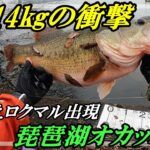 【琵琶湖】実録：5本14kg超えの衝撃【オカッパリ】