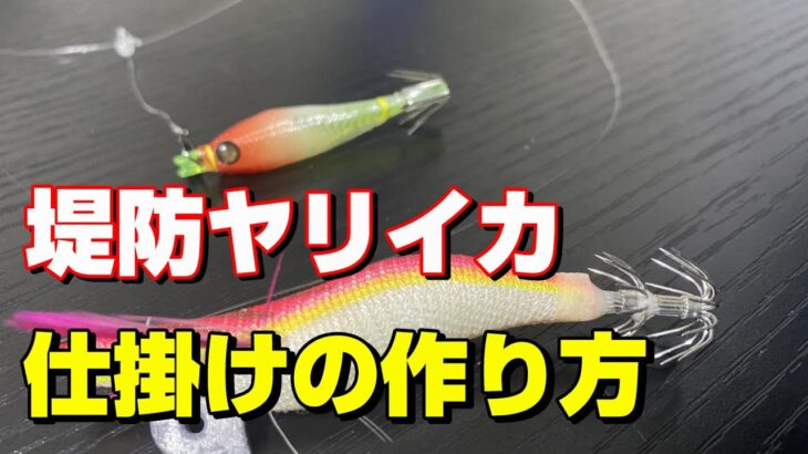 エギとスッテのダブル仕様で釣果アップ！ササイカ釣りにオススメの仕掛けです♪【初心者向け】【61釣目】　#釣り　#エギング　#ヤリイカ