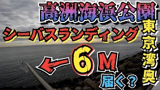 【高洲海浜公園】シーバスランディング6mの網で出来るのか？【しらべてみた】