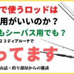 サーフで使うロッドはサーフ用がいいのか？それともシーバス用でもいいのか？ネッサBBとディアルーナで迷ってます・釣り部屋からの雑談・四方山話７６