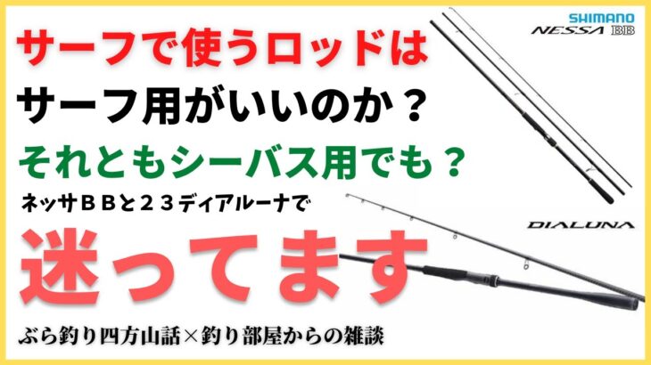 サーフで使うロッドはサーフ用がいいのか？それともシーバス用でもいいのか？ネッサBBとディアルーナで迷ってます・釣り部屋からの雑談・四方山話７６