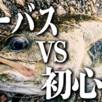 シーバス釣り初心者があのルアーで入れ食い!?エラ洗いでフルボッコにされた後は焚き火でBBQをする贅沢な一日【 シーバス 】