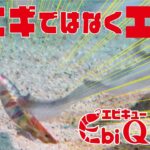 もはやエギではなくエビ!!「Ebi Q」3.5号登場!!(1270)