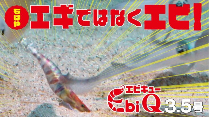 もはやエギではなくエビ!!「Ebi Q」3.5号登場!!(1270)