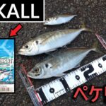 【デイアジング】JACKALL PEKE Ring で尺アジ！