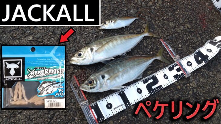 【デイアジング】JACKALL PEKE Ring で尺アジ！