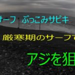 西湘サーフ　ぶっこみサビキ　アジ釣り　No.７