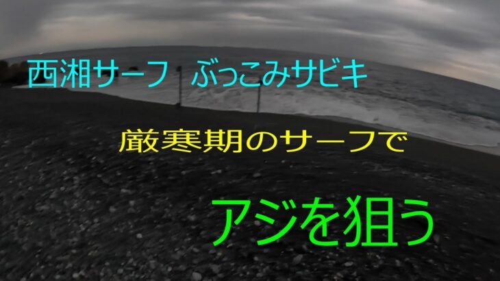 西湘サーフ　ぶっこみサビキ　アジ釣り　No.７