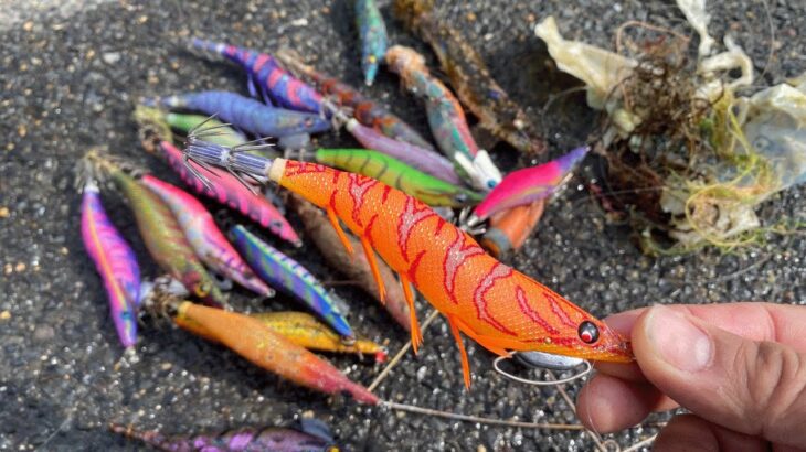 【釣りゴミ】新品エギを大量回収！ Picked up fishing trash in the sea and got a lot of lures.