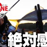 “絶対感度”究極のアジングライン【The ONE アジング】登場!!(1272)