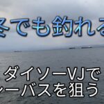 【真冬でも釣れる❓】ダイソーVJでシーバスを狙う❗️