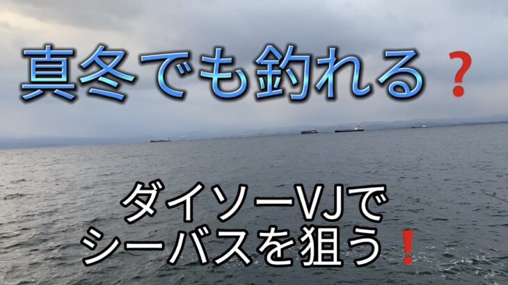 【真冬でも釣れる❓】ダイソーVJでシーバスを狙う❗️