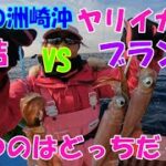 激流の洲崎沖　直結VSブランコ　勝つのはどっち？【ヤリイカ釣り】【直結仕掛け】【ブランコ仕掛け】