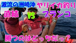 激流の洲崎沖　直結VSブランコ　勝つのはどっち？【ヤリイカ釣り】【直結仕掛け】【ブランコ仕掛け】