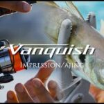 Vanquish インプレッション アジング／丹羽喜嗣