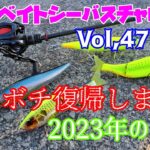 【ビッグベイトシーバスチャレンジ Vol,47・前編】ボチボチ復帰します！