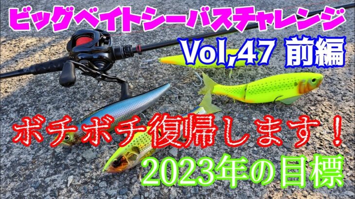 【ビッグベイトシーバスチャレンジ Vol,47・前編】ボチボチ復帰します！