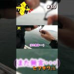 また無言、、、　#明石ジギング #青物 #釣り #釣り初心者 #fishingvideo #short #shorts