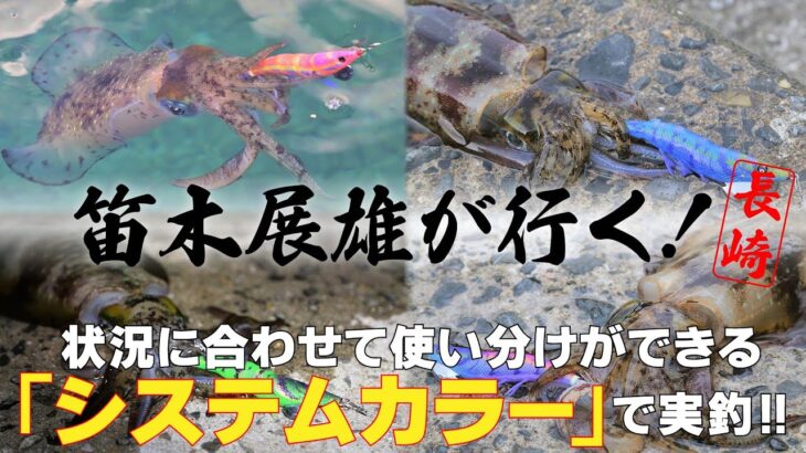 状況に応じて使い分けができる「システムカラー」で実釣！in 長崎 ｜ 笛木展雄が行く！(1274)