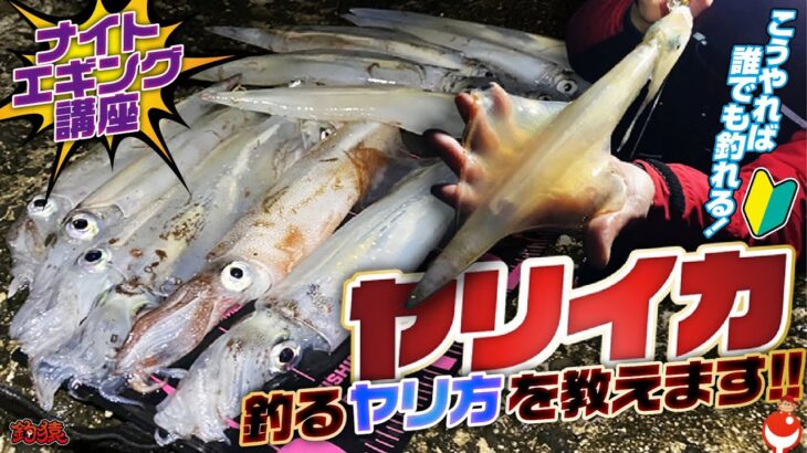 今が旬！ヤリイカエギング！誰でも簡単に釣れるヤリ方教えます🦑初心者さんも大歓迎🔰