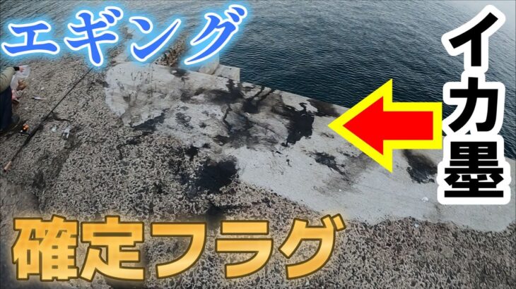 【エギング】真っ黒に染まった堤防で釣りしてみたら・・。