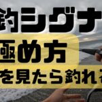 見たら釣れる日！爆釣するサインを見逃すな！！サーフに出現するシグナルを見極める。実釣＆解説。