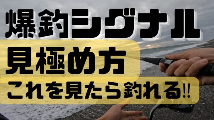 見たら釣れる日！爆釣するサインを見逃すな！！サーフに出現するシグナルを見極める。実釣＆解説。