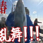 伊勢湾ジギングはボトムでスローだけではない【天下一釣り大会】