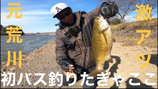 【バス釣り】真冬の元荒川！初バス釣りたきゃここに行け！【スモールマウスバス】