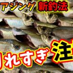 【アジング】【和歌山県田ノ浦漁港】真冬に爆釣　釣れすぎ注意！