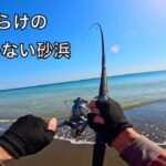 なぜか大型ヒラメばかり釣れるサーフでの、怪魚釣りの記録。