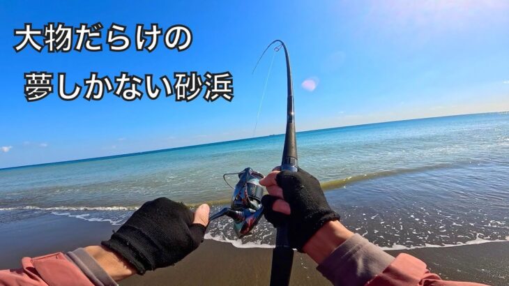 なぜか大型ヒラメばかり釣れるサーフでの、怪魚釣りの記録。