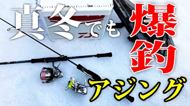 【アジング】真冬でも爆釣！今年はメッチャ釣れてます！