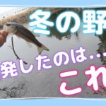 冬のバス釣り　これを使えばボウズ逃れ