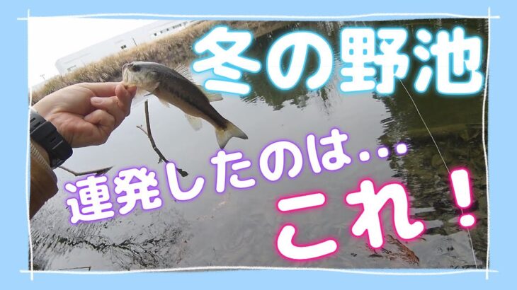 冬のバス釣り　これを使えばボウズ逃れ