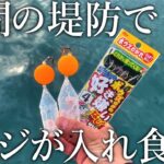 【もはや無限アジ釣り…】ボウズのがれサビキとぶっこみサビキを組み合わせるとアジの漁獲高が過去最高になりました