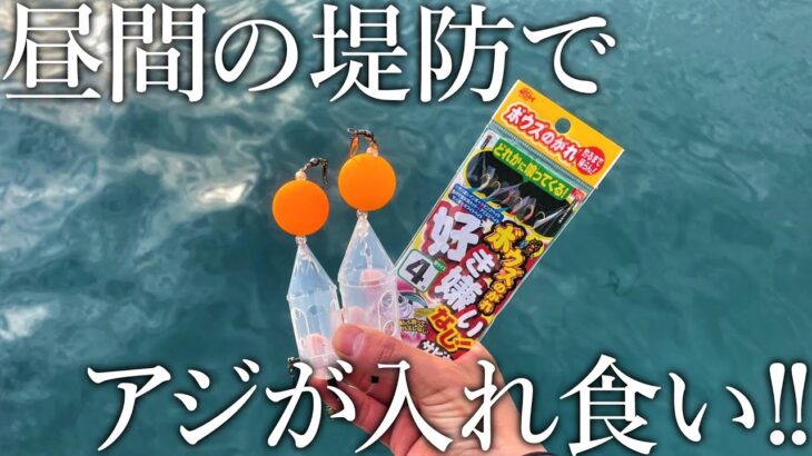 【もはや無限アジ釣り…】ボウズのがれサビキとぶっこみサビキを組み合わせるとアジの漁獲高が過去最高になりました