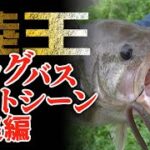 【釣り人必見】岸釣りバスフィッシング対決の金字塔『陸王』の名シーンだけ厳選！